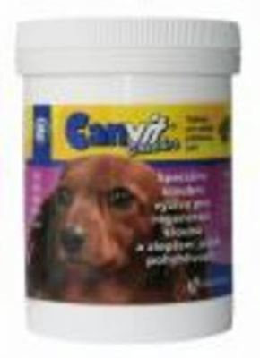 Canvit chondro 100g