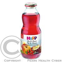 HiPP BIO Šípkový čaj se šťávou z červených plodů 500 ml