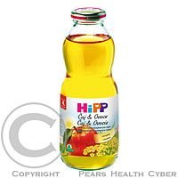 HiPP BIO Jablečná šťáva s fenyklovým čajem 500 ml