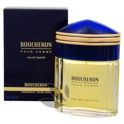 Boucheron Boucheron Pour Homme pánská toaletní voda 100 ml pro muže