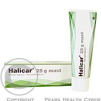 Halicar mast 25 g