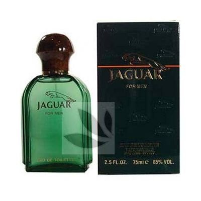 Jaguar For Men toaletní voda pro muže 100 ml