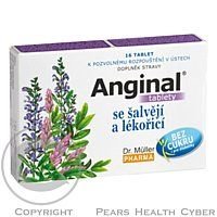 Anginal tablety se šalvějí + lékořicí tbl. 16