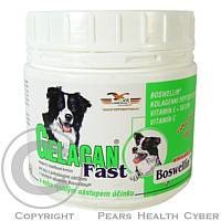 Gelacan Fast 150g