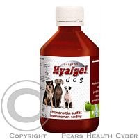 Hyalgel Dog Original jablko 500ml