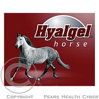 Hyalgel Horse jablko 1l