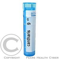 CANTHARIS CH9 GRA.4G