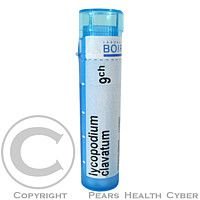 LYCOPODIUM CLAVATUM CH9 GRA.4G