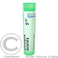 PHYTOLACCA DECANDRA CH5 GRA.4G