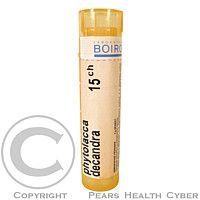 Phytolacca Decandra 30CH gra.4g