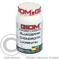 Giom pes Chondro L-karnitin SPORT 200g plv