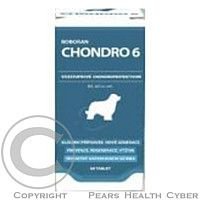 Roboran Chondro 6 pro psy 60tbl