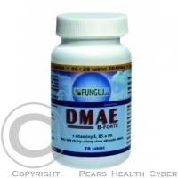 DMAE B-FORTE 70 tablet AKCE 50 + 20 tablet ZDARMA!