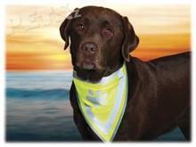 TRIXIE REFLECTIVE DOG SCARF XS-S Reflexní šátek pro psa, žlutá, velikost UNI
