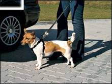 TRIXIE CAR DOG BELT XS-S Bezpečnostní pás pro psa, černá, velikost UNI