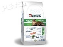 Ontario Adult Castrate 10 kg