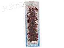 Rostlina TETRA Red Ludwigia Plus 38 cm - 1ks