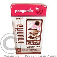 Pangamin Glukavin 200 tablet