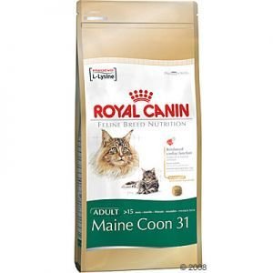 Royal Canin Maine Coon Adult - 10 kg