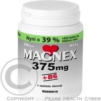 Magnex 375 mg +B6 250 tbl.