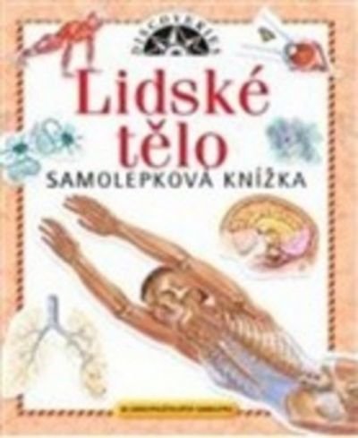 Lidské tělo - samolepková knížka svítící ve tmě