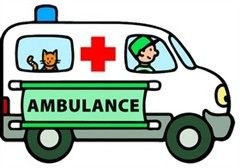 CITY SERVICE CAR - Ambulance na setrvačník 1:20