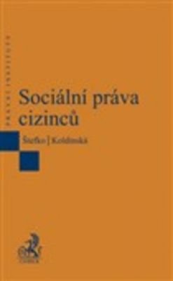 Sociální práva cizinců - Kolektív autorov