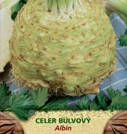 Celer bulvový ALBIN