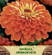 Zinnia el/ostál.Jiř/rů