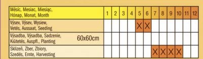 Hrábě kombinované 166prstů stavitelné sirka 34-52cm