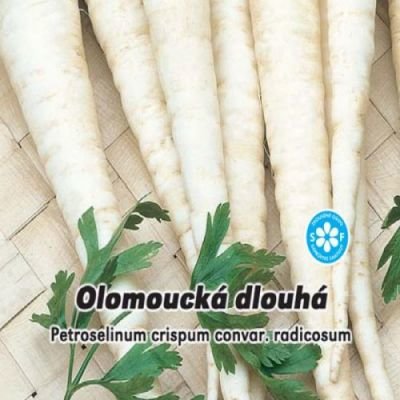Kořenová petržel Olomoucká dlouhá 4 g semen