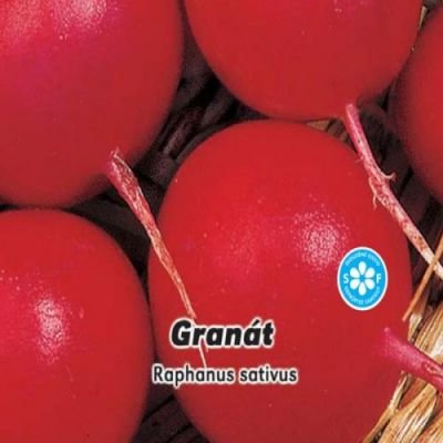 Ředkvička červená Granát 5 g