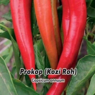 Paprika zeleninová Prokop 0,6 g osiv