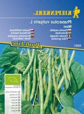 Keříčková fazole Maxi BIO semena bio fazole