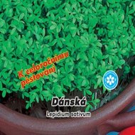 Řeřicha zahradní - Dánská ( zelenina: Lepidium sativum ) 5 g osiva řeřichy