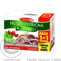 TEREZIA Hlíva ústřičná + lactobacily 60+60 kapslí