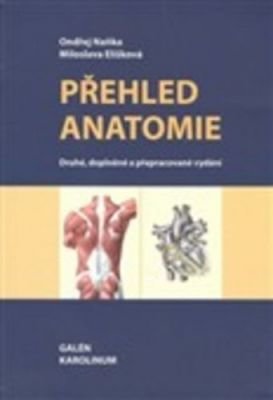 Přehled anatomie