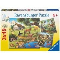 Puzzle Ravensburger - Domácí zvířata 3 x 49d