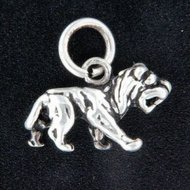 Stříbrný přívěs P050