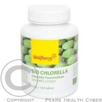 WOLFBERRY Bio chlorella 500 tablet