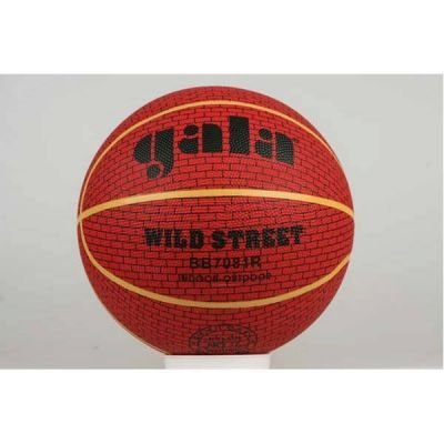 Basketbalový míč Gala WILD Street 7081R