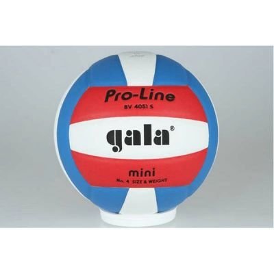 Volejbalový míč Gala PRO LINE 4051 S