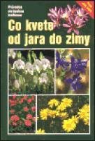 Dreyer, E. a W. Co kvete od jara do zimy