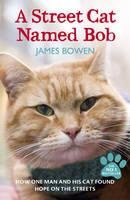 BOWEN JAMES Street cat named Bob