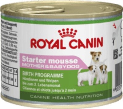 Royal Canin Starter Mousse 12x195g