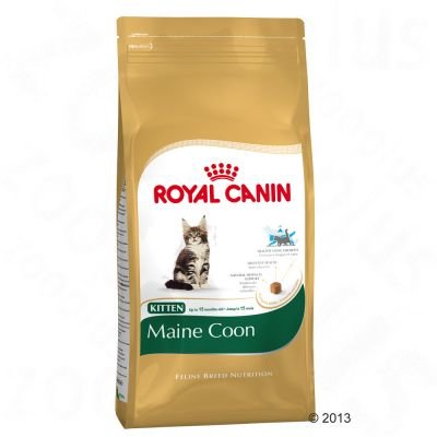 Royal Canin Maine Coon Kitten 10kg