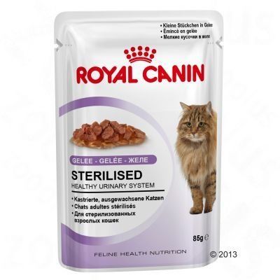 Royal Canin Sterilised v želé - Výhodné balení 24 x 85 g