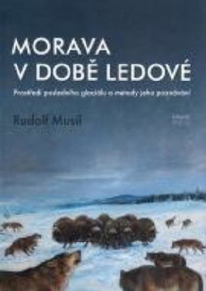 MUSIL RUDOLF Morava v době ledové