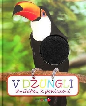 V džungli