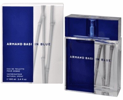 Armand Basi In Blue toaletní voda pro muže 100 ml